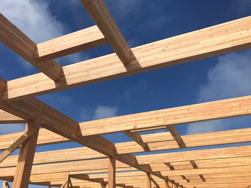 Перевтілення Історії у Сучасність: Фахверк у XXI Столітті